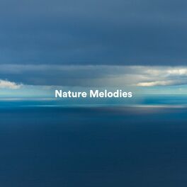 Album cover of Nature Melodies