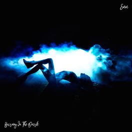 Album cover of Burning In The Dark
