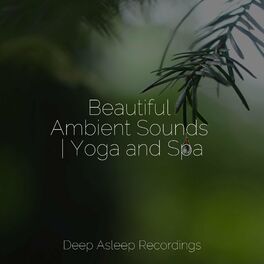 Album cover of Beautiful Ambient Sounds | Yoga and Spa
