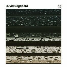 Album cover of Lluvia Cegadora