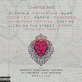 Album cover of Chapter Two