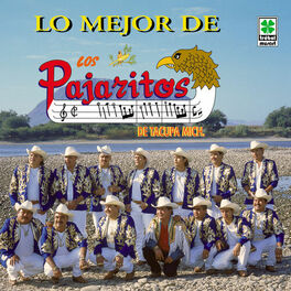 Album cover of Lo Mejor de los Pajaritos
