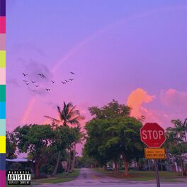 Album cover of BIRDS & PARADISE