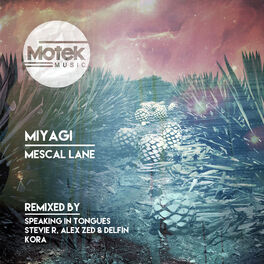 Album cover of Mescal Lane