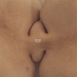 Album cover of Flux