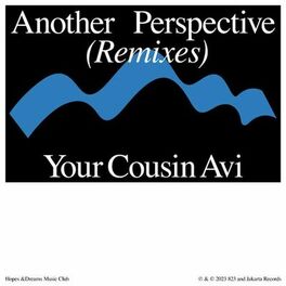 Album cover of another perspective (Your Cousin Avi Remix)