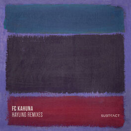 Album cover of Hayling Remixes