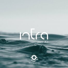 Album cover of Intra