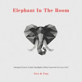 Album cover of Elephant in the Room