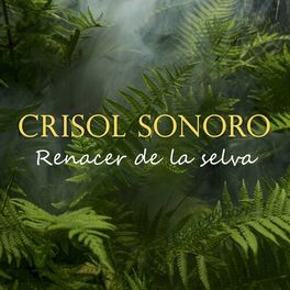 Album cover of Renacer de la Selva
