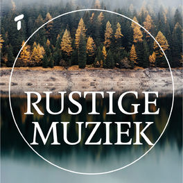 Cover of playlist Rustige Muziek