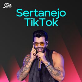Cover of playlist Sertanejo TikTok 2022 🔥 Atualizado!