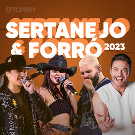 Cover of playlist Sertanejo, Forró e Piseiro Atualizado 2023