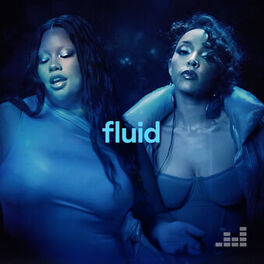Cover of playlist fluid ✨