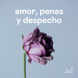 Cover of playlist Amor, penas y despecho