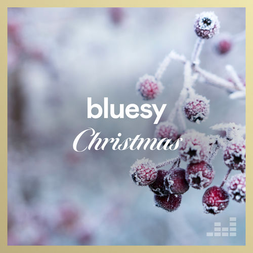 Bluesy Christmas playlist Listen on Deezer Bluesy Christmas Songs