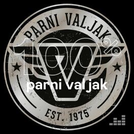 Cover of playlist 100% Parni Valjak