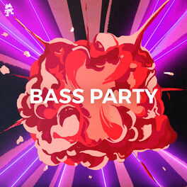 Cover of playlist Bass Party