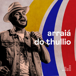 Cover of playlist Arraiá do Thullio