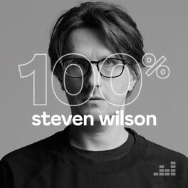 Cover of playlist 100% Steven Wilson