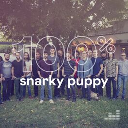 Cover of playlist 100% Snarky Puppy