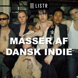 Cover of playlist Masser Af Dansk Indie