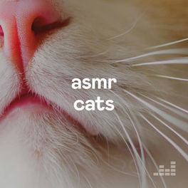 Cover of playlist ASMR Cats