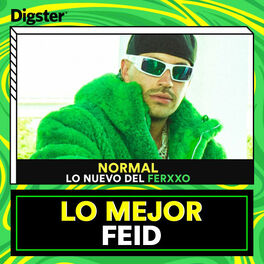 Cover of playlist Lo Mejor de Feid