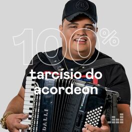 Cover of playlist 100% Tarcísio do Acordeon