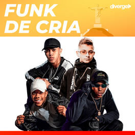 Cover of playlist Funk de Cria