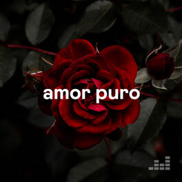 Cover of playlist Amor Puro