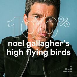 Cover of playlist 100% Noel Gallagher's High Flying Birds