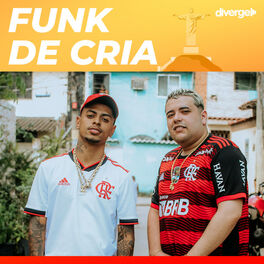 Cover of playlist Funk de Cria