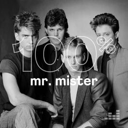 Cover of playlist 100% Mr. Mister