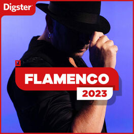 Cover of playlist FLAMENCO 2023 ❤️
