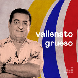 Cover of playlist Vallenato Grueso