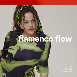 Cover of playlist Flamenco Flow