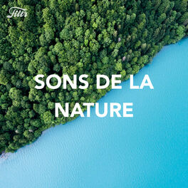 Cover of playlist Bruits et sons de la nature pour se détendre
