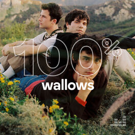Cover of playlist 100% Wallows