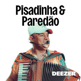 Cover of playlist Pisadinha & Paredão