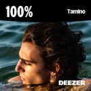 100% Tamino