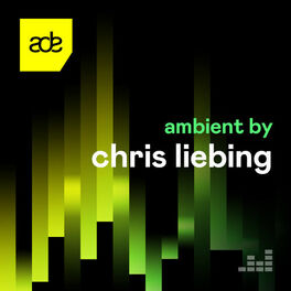 Cover of playlist Ambient by Chris Liebing
