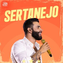 Cover of playlist Top Sertanejo 2024 ⭐ Hits Sertanejos!