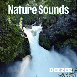Cover of playlist Nature Sounds