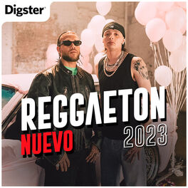 Cover of playlist REGGAETON NUEVO 2023 🔥🚨