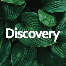 Cover of playlist Discovery