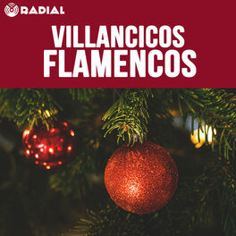 Cover of playlist Raya Real - Villancicos Flamencos 2020