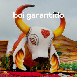 Cover of playlist Boi Garantido