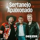 Sertanejo Apaixonado