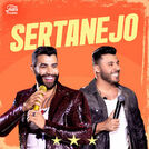Top Sertanejo 2024 ⭐ Hits Sertanejos!